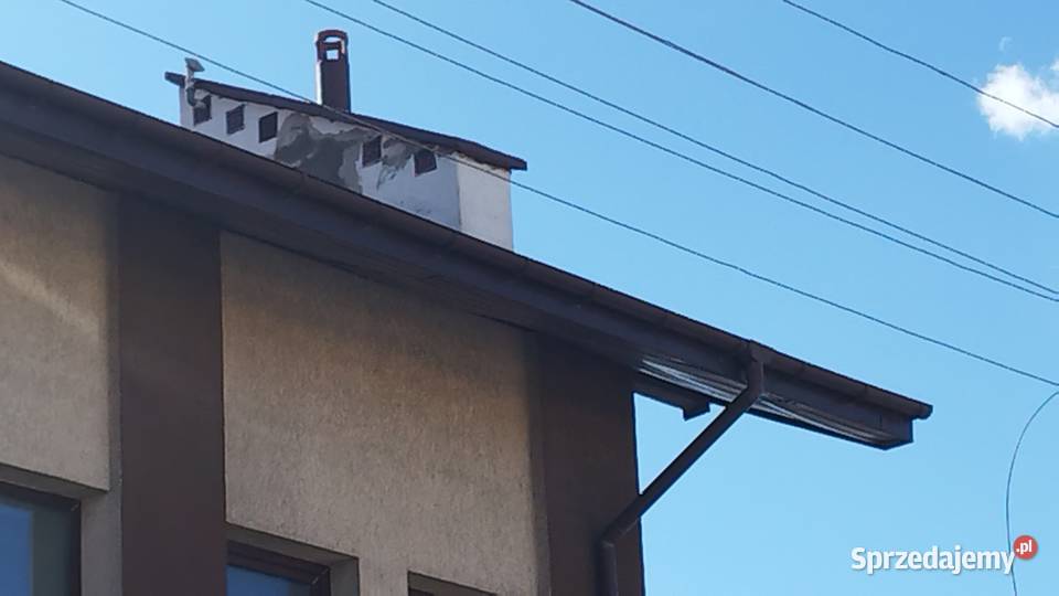 PAPA W PŁYNIE na papę beton drewno RENODACH Lublin