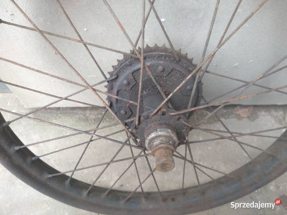 SHL m04 koło kieleckie Ostrowiec Świętokrzyski