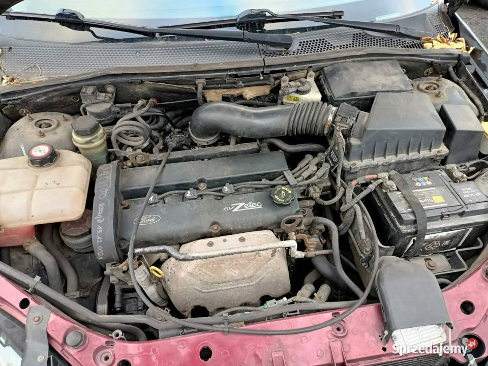 Ford Focus Ford Focus 18 01r Mk1 19982004 Samochody osobowe Tarnów sprzedam
