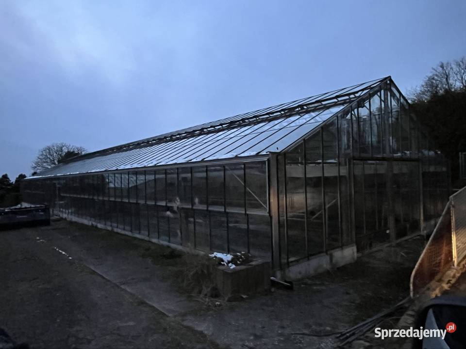 Szklarnia 30 metrow 10 metrow Konin sprzedam