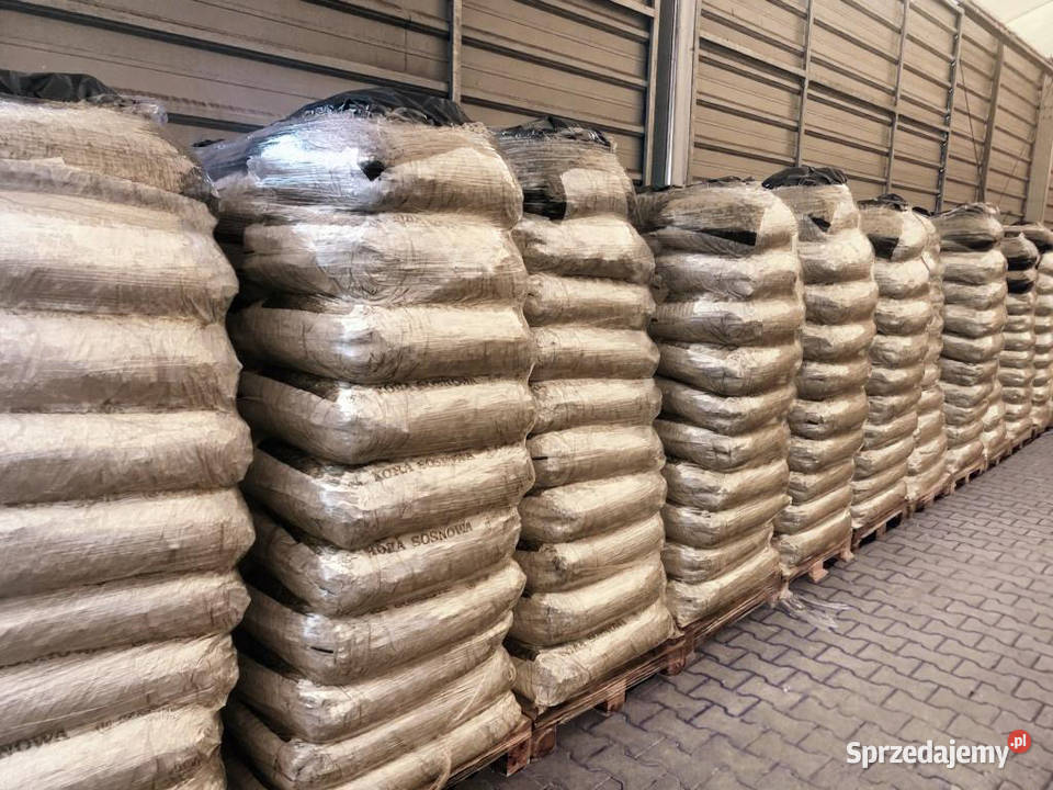 Kora sosnowa Ogród Chełmża