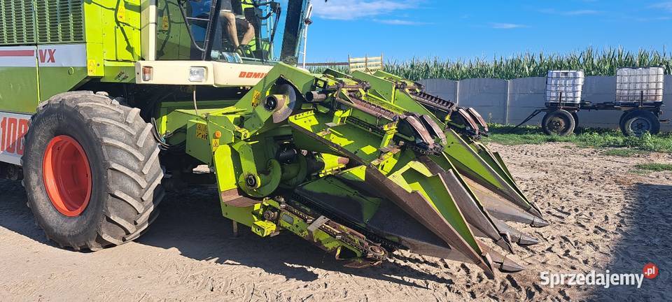 Przystawka do kukurydzy claas wielkopolskie Szalonka