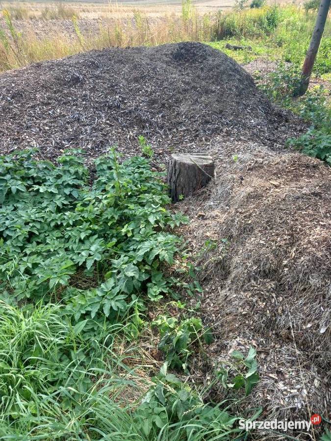 ORZECH Drewno do kominka do pieca co kafelLublin Lublin sprzedam