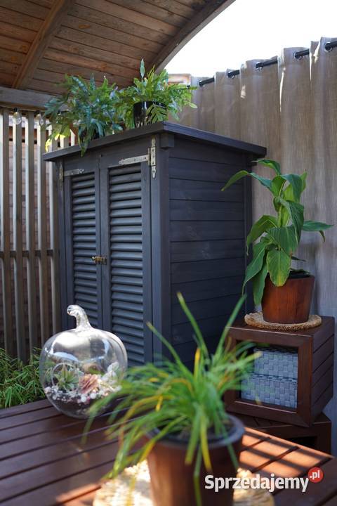 Szafa ogrodowa drewniana szafa narzędziowa Ogród śląskie Kalety