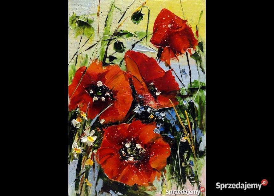 Maki Obraz olejny 20x30 kwiaty Łódź