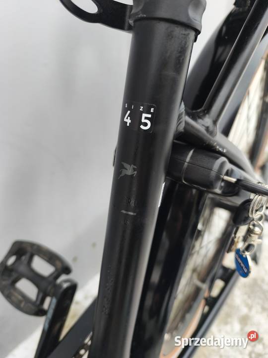 Pegasusa Solero E8 Plus Inowrocław