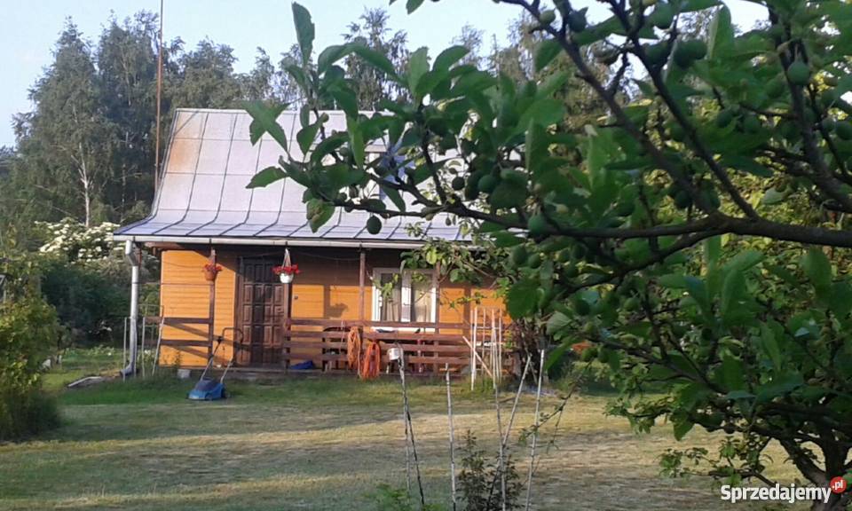 Zagospodarowane siedlisko sprzedam