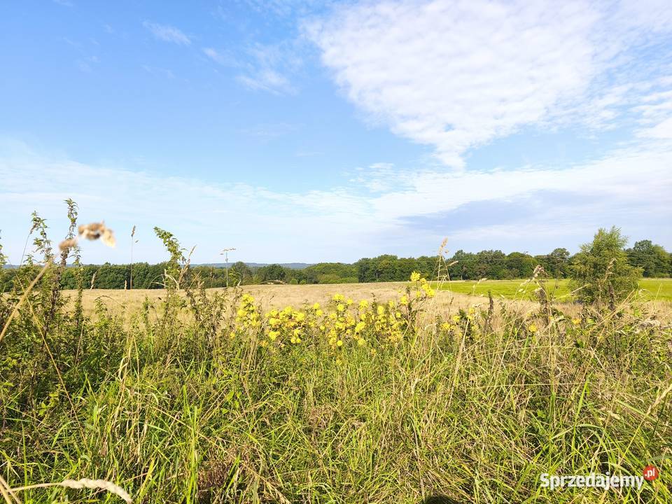 Z dala spojrzeń sąsiadów 66zł/m2 pomorskie Chocielewko