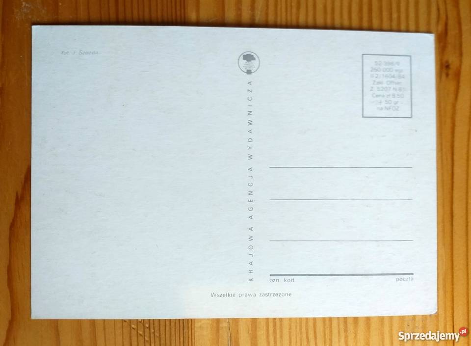 MOTYL NA SŁONECZNIKU FOT SZOZDA lubelskie Piszczac