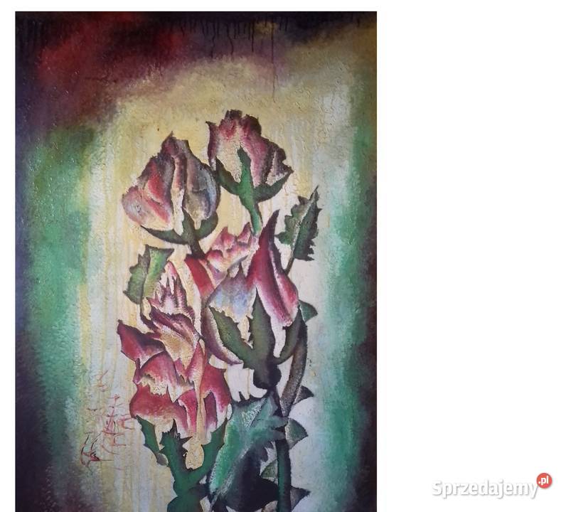 Ceremonialne Róże Jarosław