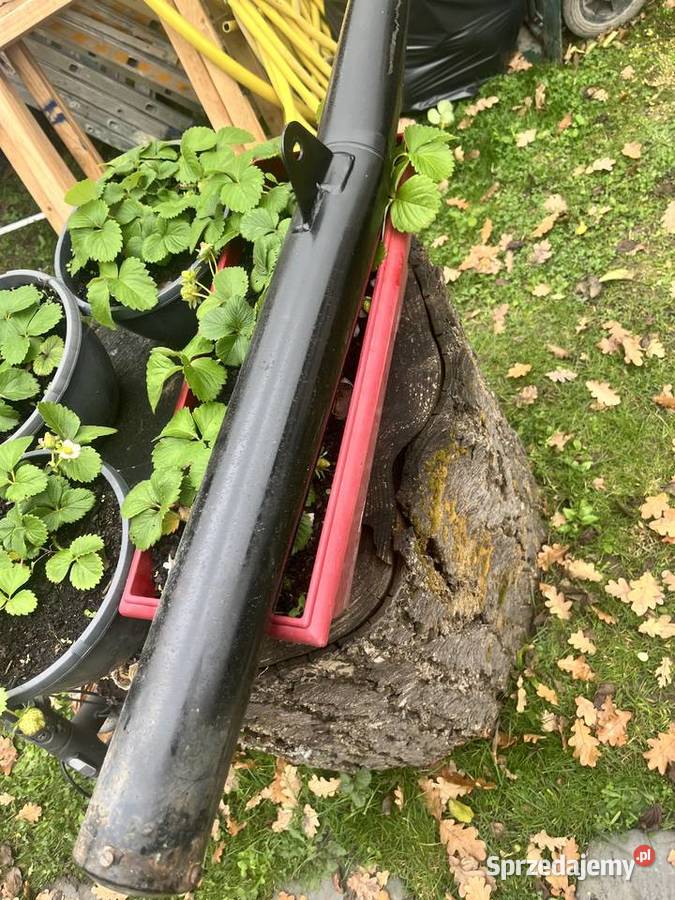 Tłumik MZ saxon 125150 org Tłumiki Wola Raniżowska