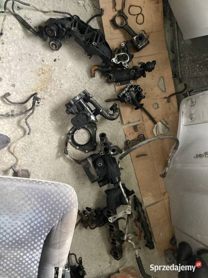 Części Renault Trafic 20 115 podkarpackie Nowy Żmigród