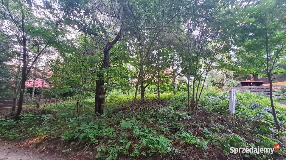 Działka 368 ara Mazury Grabowo 11700 Mrągowo