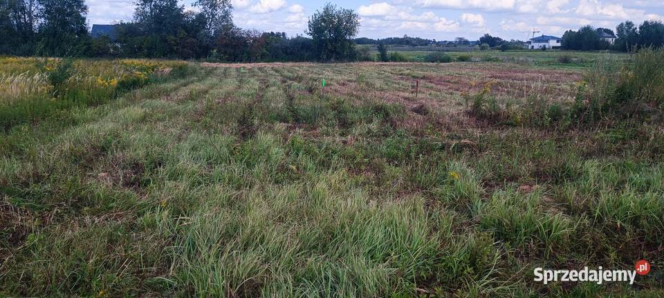 Działki budowlane ok1000m2 MNU Falenty Nowe Sprzedaż mazowieckie