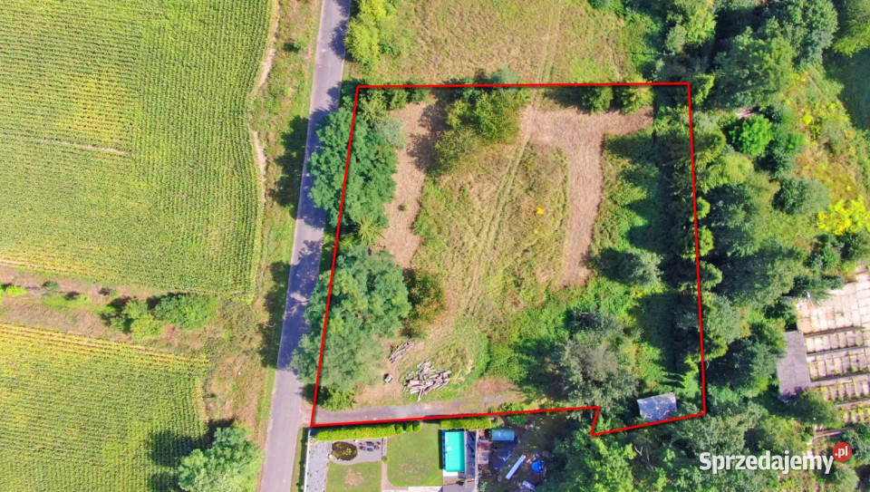 Działka 3701 m w Lwowianach WZ duży potencjał Lwowiany