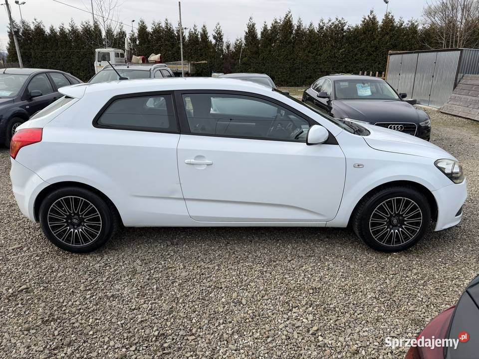 Kia ceed fajny miejski samochód zarej w wielofunkcyjna kierownica małopolskie Nowy Sącz