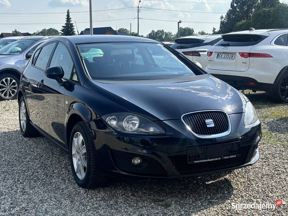 Seat Leon Paniówki