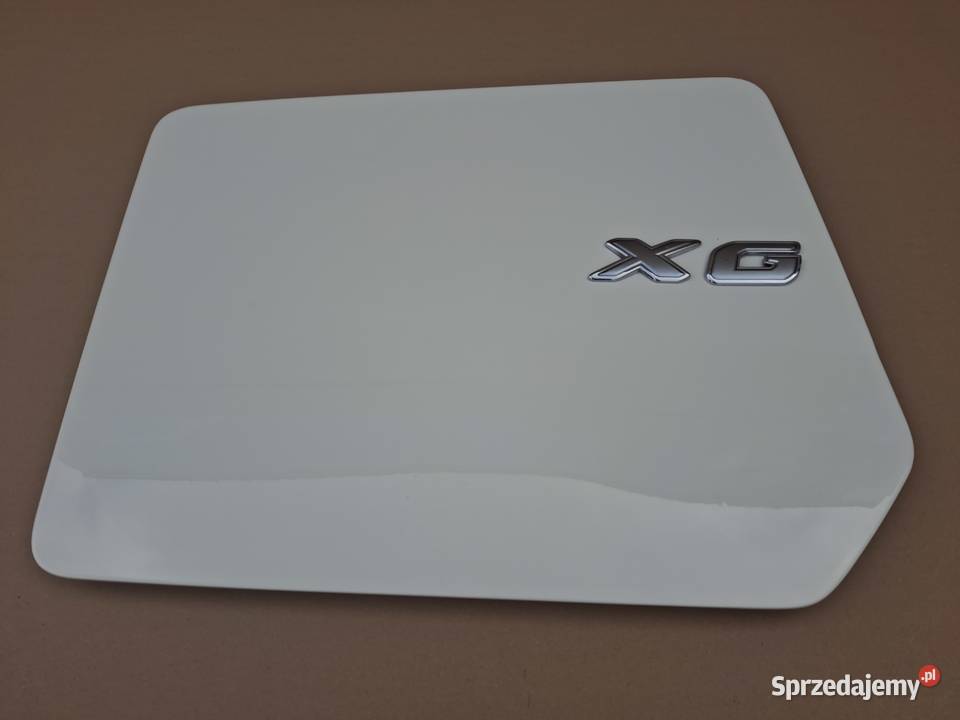 DAF XF XG KLAPA SCHOWKA PRAWA DRZWICZKI POKRYWA lubuskie Bieleń