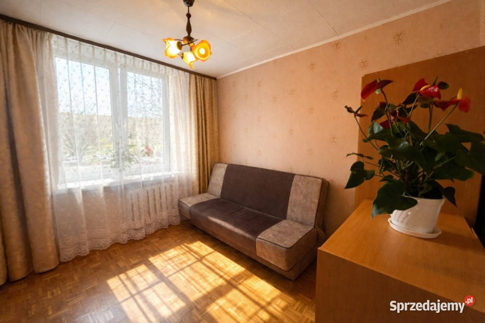 Słoneczne mieszkanie 48 m 3 pokoje parter duży Rok budowy 1974