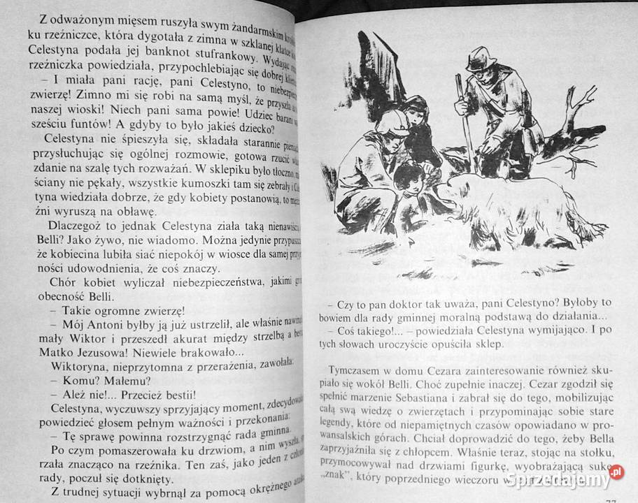 Bella i Sebastian Ccile Aubry Kultura i Rozrywka Chełm