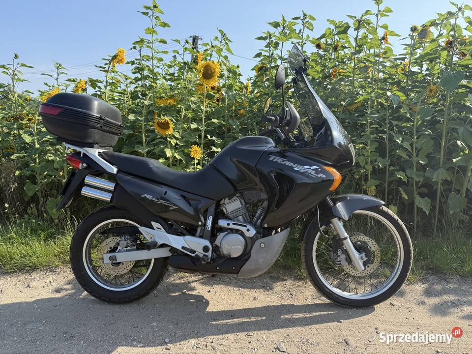 Honda Transalp 650 2001 Gozdowo sprzedam