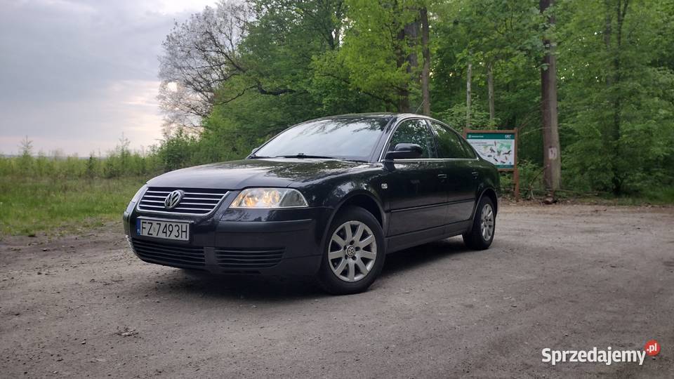 VW Passat B5 19TDI nieuszkodzony Zielona Góra