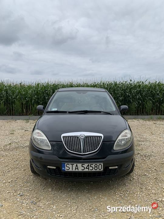 Samochód Lancia Ypsilon 80KM Ypsilon Ypsilon śląskie