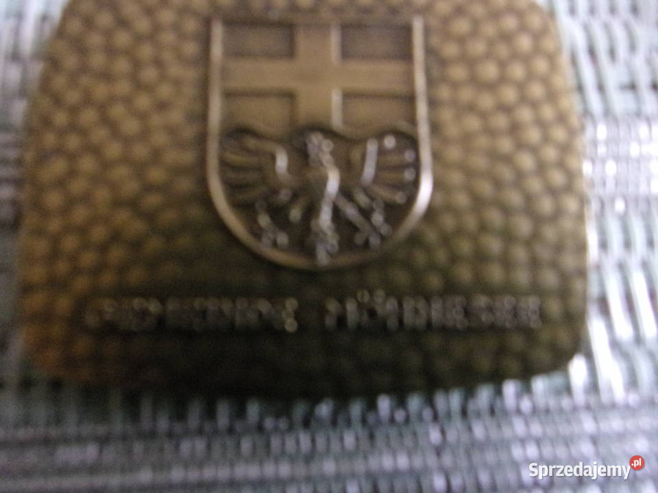 2 Stare medale miast HEVERLEE 1976r Mhnesee z Warszawa