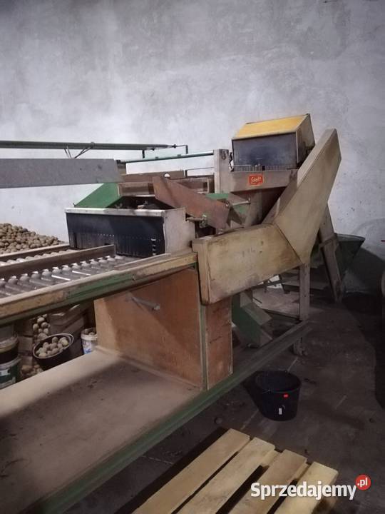 Sortownik holenderski