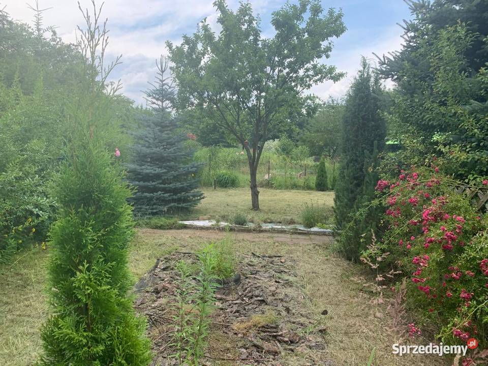 Ogródek działkowy ROD Miejski w Czeladzi Grunty i działki Czeladź