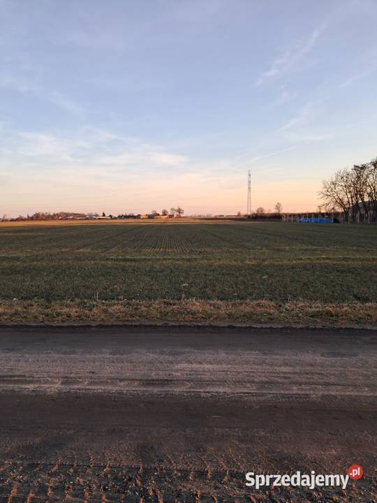 sprzedam działki budowlane Bierzglin Sprzedaż wielkopolskie