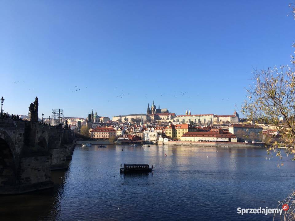 Lato 2021 wczasy i wycieczki aktualne oferty