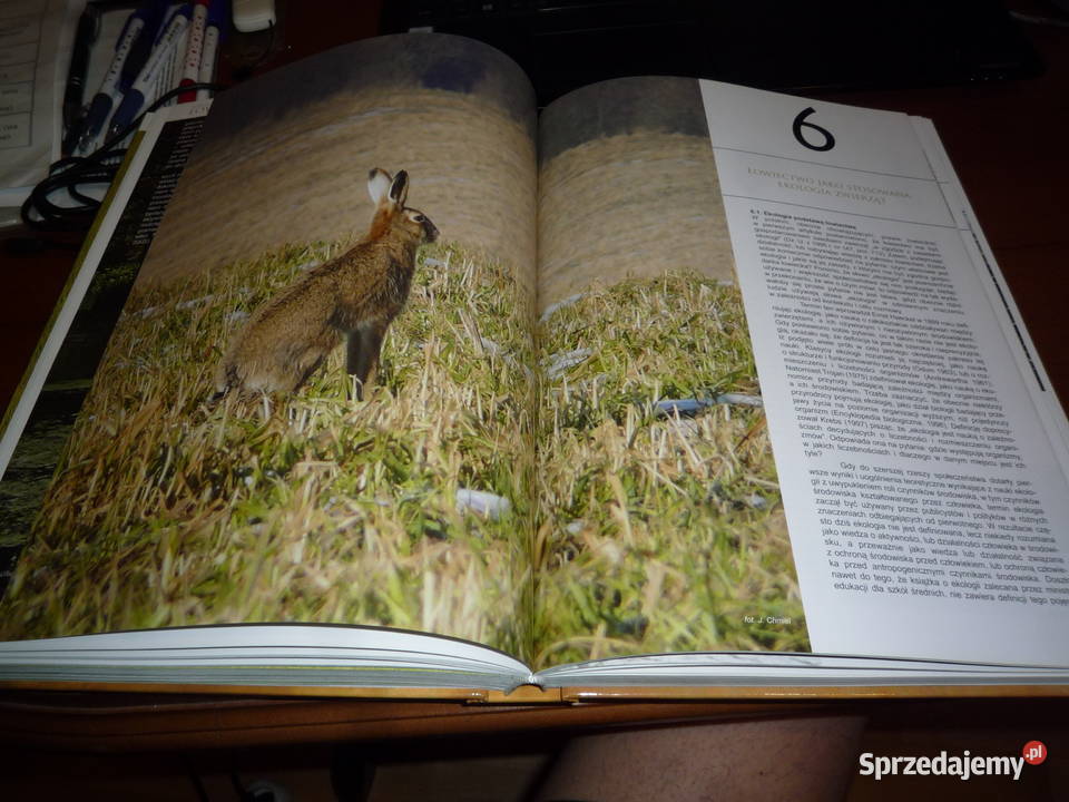 łowiectwo henryk okarma andrzej tomek Lutowiska