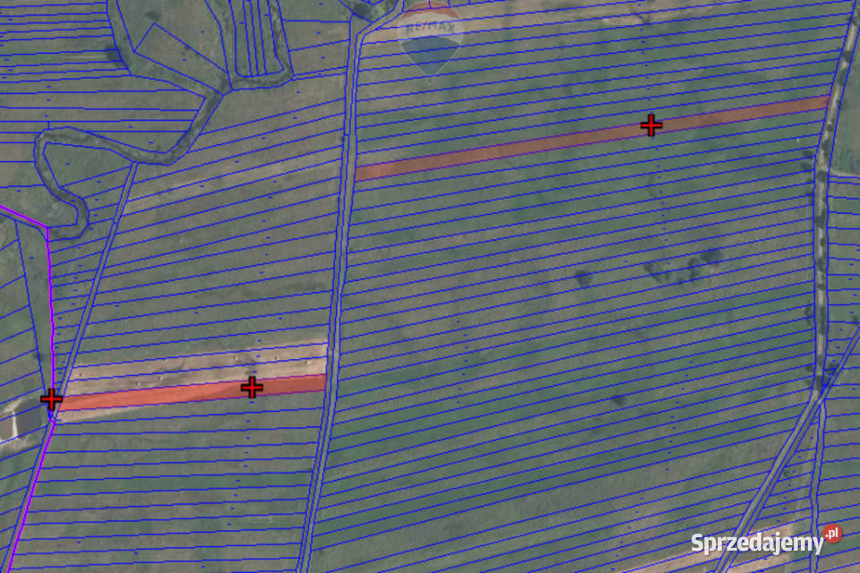 Działki rolne Dział polna Sprzedaż