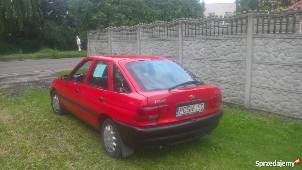 Escort z gazem wielofunkcyjna kierownica Krotoszyn