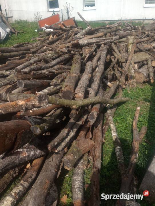 Drewno opałowe Lębork