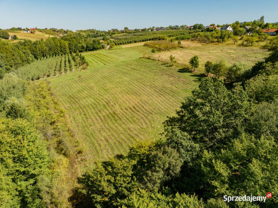 Działka rolnoleśna 156 ha Sadek Jodłownik 15600m2
