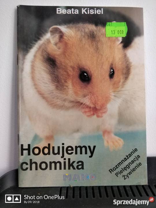 Książka zwierzęta Hodujemy Chomika Nysa