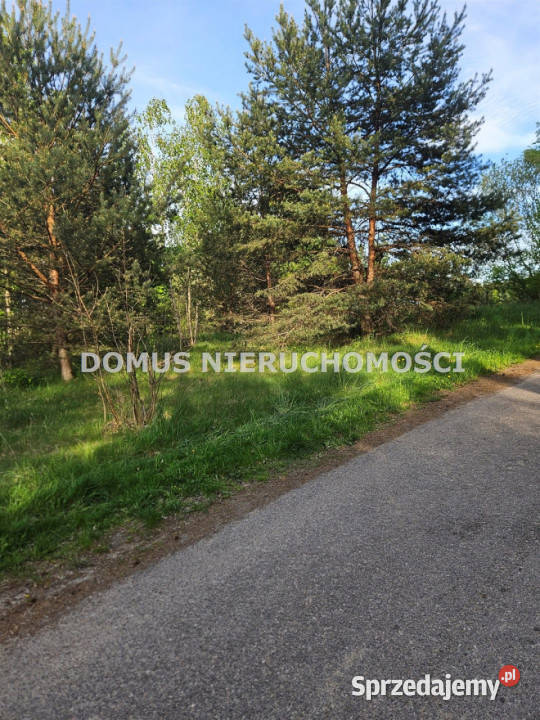Działka 3700m2 Przanowice asfalt
