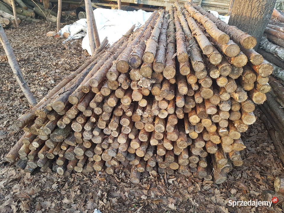 Stemple budowlane 240m 320m 4m i Opał Brzoza Milicz sprzedam