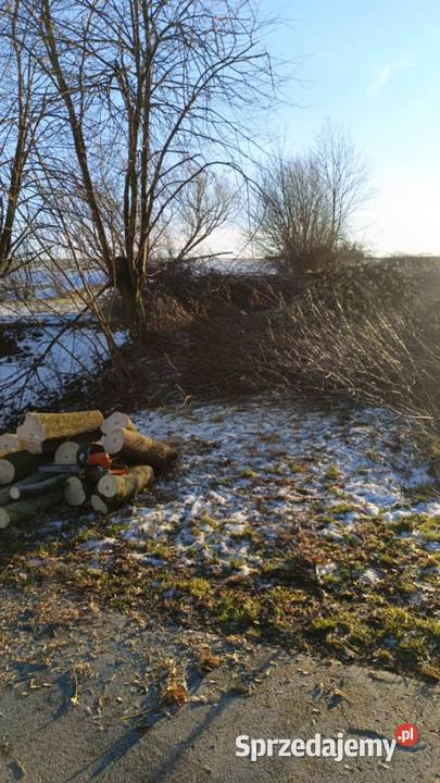 Oferuję wycinki drzew przycinanie karczowanie Pozostałe