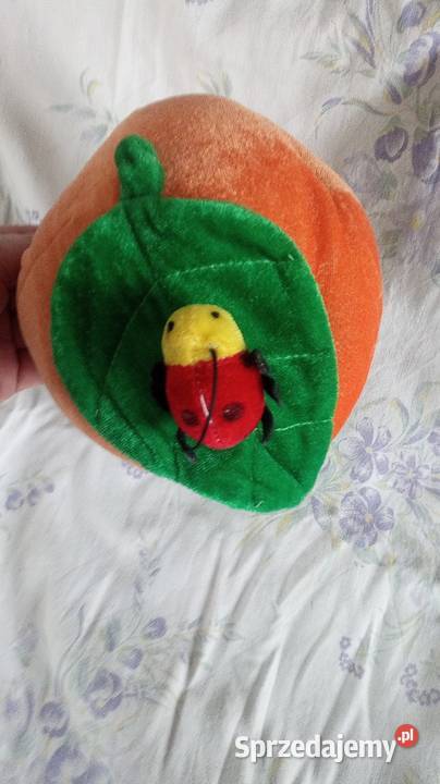 Pluszaki dzieci Warszawa