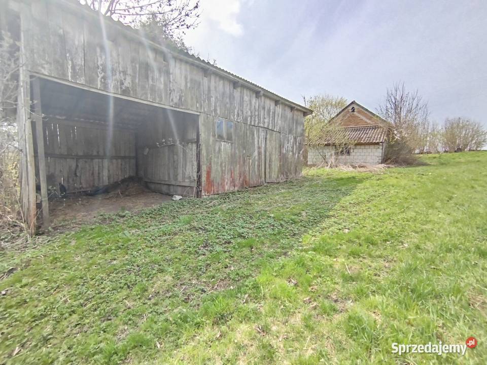 Sprzedam siedlisko z polem ornym klasy