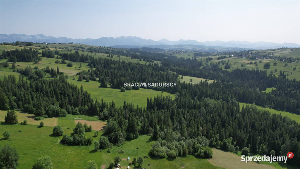 sprzedaży gruntu Bańska Wyżna 4267m2