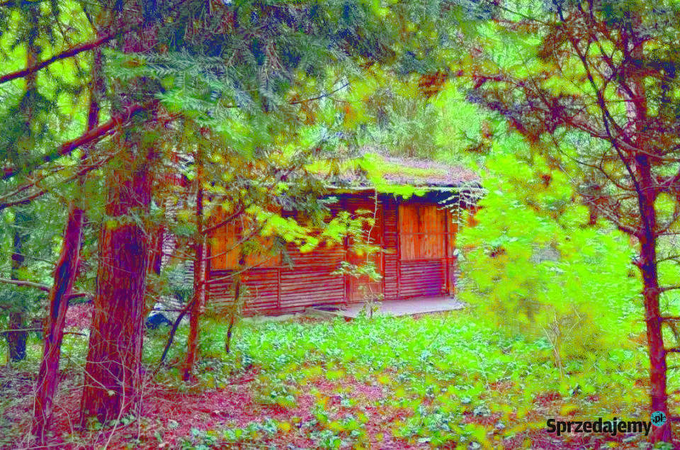 Działka rekreacyjna Zalewem Zegrzyńskim mazowieckie Międzyborów