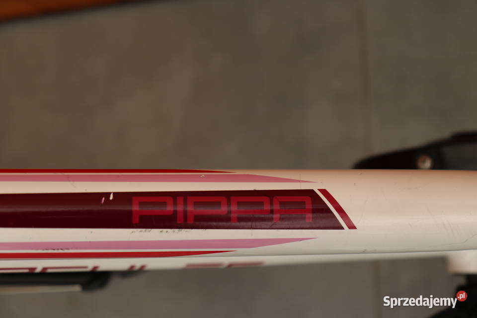 Rower dziecięcy Hercules Pippa I inne rowery Milanówek
