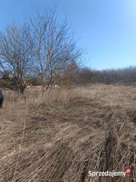 Syndyk sprzeda nieruchomość gruntowa Jarosławiec