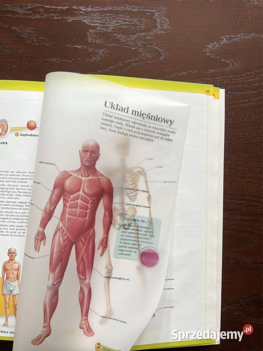 Świat przyrody atlas encyklopedie, słowniki, leksykony Częstochowa