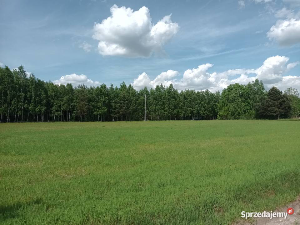 Działka budowlana 1538m2 Mała Wieś sprzedam