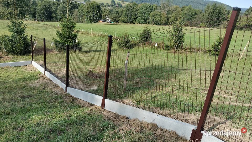 Panel ogrodzeniowy Wiśniowski 123x250 fi5mm ocynk Gorlice